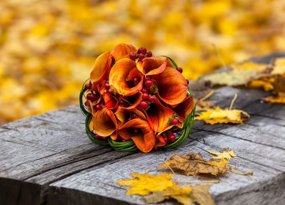 Organizzare un matrimonio in autunno: ecco perché la stagione più romantica dell’anno è perfetta per le vostre nozze